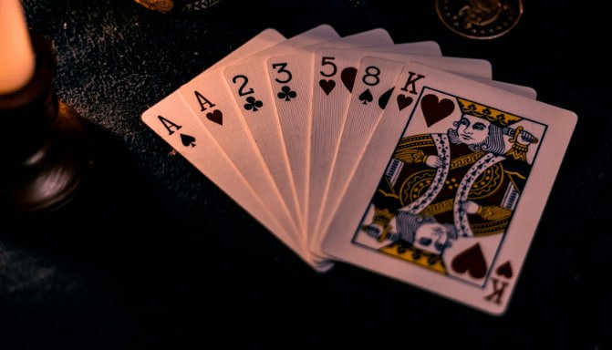 i9pet live casino