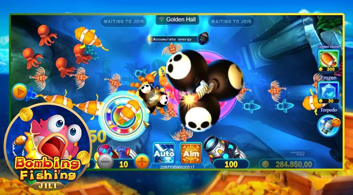 i9pet cá cược bóng đá